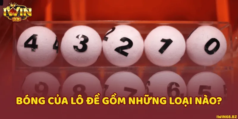Bóng lô đề gồm bóng âm số đề và bóng dương số đề