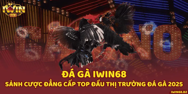 Đá Gà iWin68 - Sảnh Cược Đẳng Cấp Top Đầu Thị Trường Đá Gà 2025