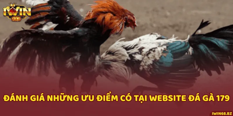 Những ưu điểm nổi bật của website đá gà trực tuyến 179