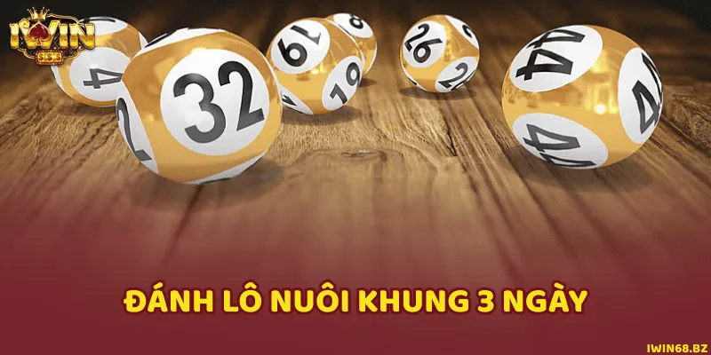 Nuôi lô miền bắc nuôi khung 3 ngày luôn luôn trúng