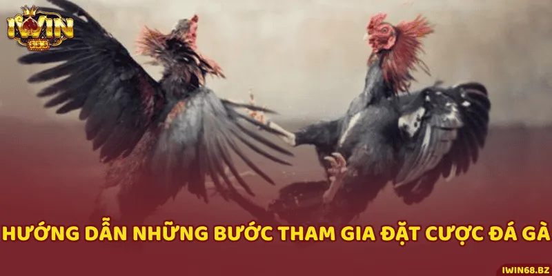 Các bước đăng ký, nạp tiền và tham gia đặt cược đá gà