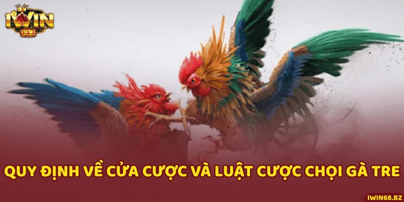Quy định về cửa đặt cược và luật chơi của một trận đấu gà tre thực tế
